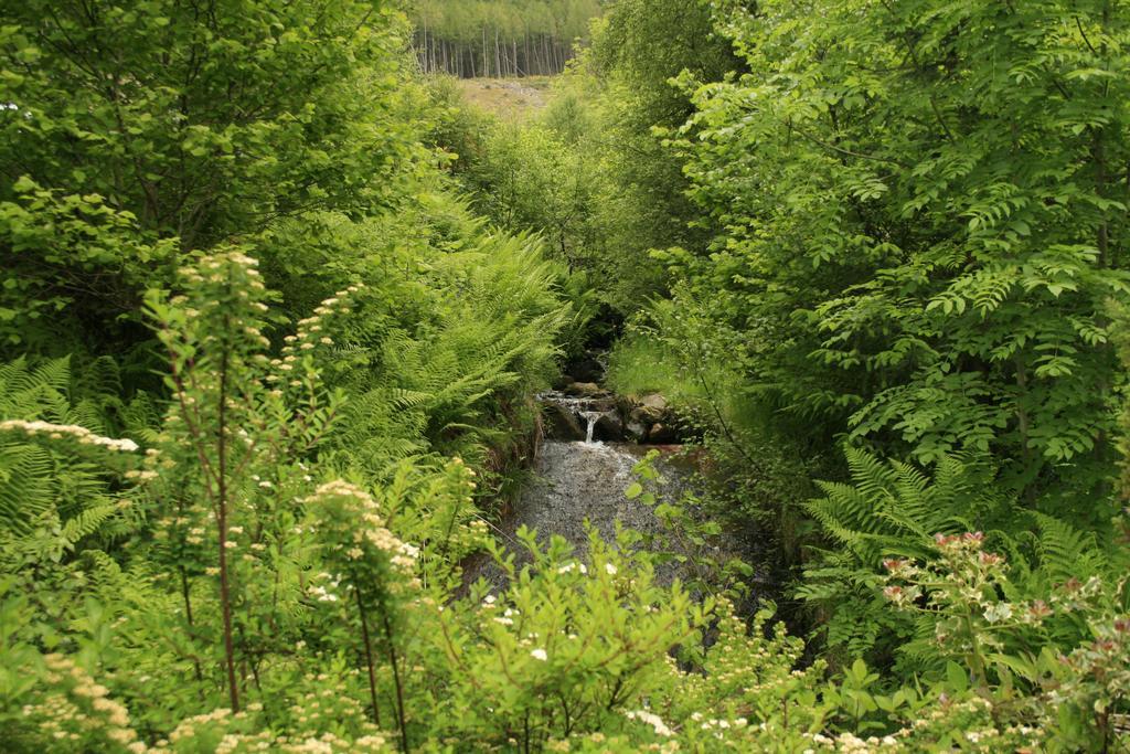 Balquhidder Braes Holiday Park Lodges, Mostly With Hot Tubs And Pet Friendly, Ev Facilities Lochearnhead Exterior foto